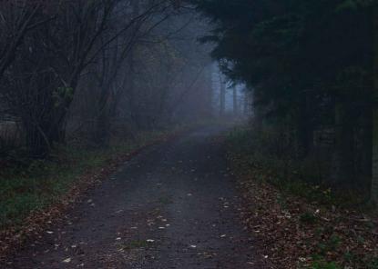Per Bak Jensen: The Road
